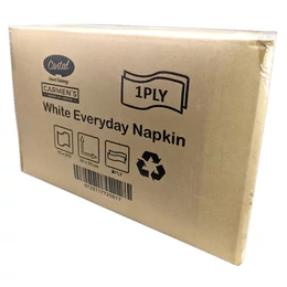 White Everyday Napkin 30x30cm 1PLY               6000 units