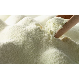 Carmen's Skimmed Milk Powder 25kg